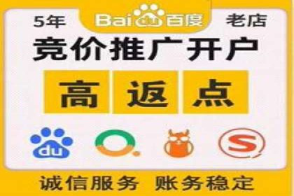 百度竞价代理操作手册：成功案例分析